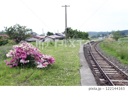 晴山駅　JR晴山駅　はるやま　Haruyama　Ĉeriz-arboj　チェリーズ・アルボイ：桜並木 122144163
