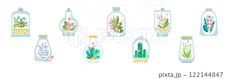 Home Florarium as Glass Jar with Growing Plant Vector Set 122144847