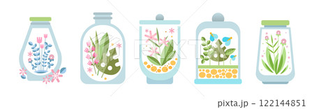 Home Florarium as Glass Jar with Growing Plant Vector Set 122144851