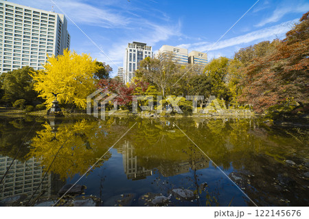 日比谷公園・雲形池の黄色い銀杏【秋イメージ】 日比谷公園・雲形池の黄色い銀杏【秋イメージ】 122145676