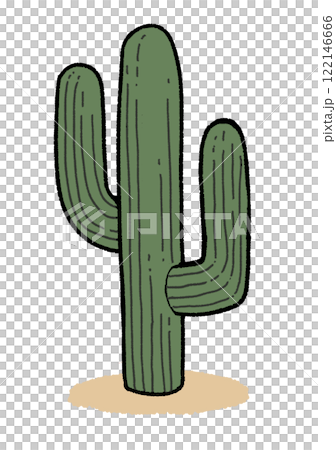 柱サボテン 122146666