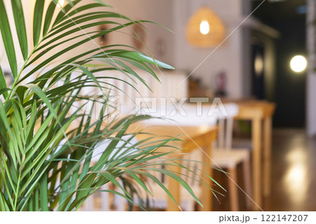 Plant leaves close-up agaist cafe blurred interior 122147207