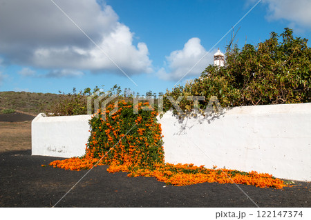 White wall with Pyrostegia Venusta, Lanzarote, Spain 122147374