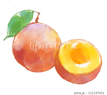 新鮮な丸ごとプラムと輪切りのプラムの水彩イラスト 122147452