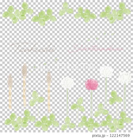つくしとシロツメクサの手描き水彩画イラスト 122147569