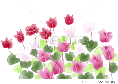 シクラメンの花のカード2 122148105