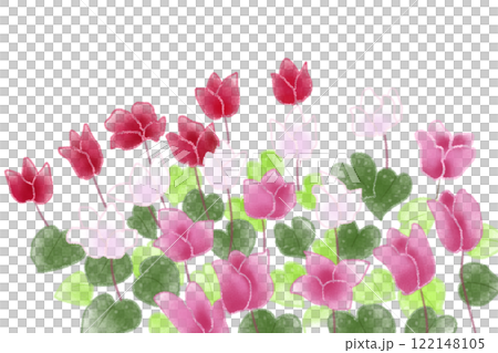 シクラメンの花のカード2 122148105