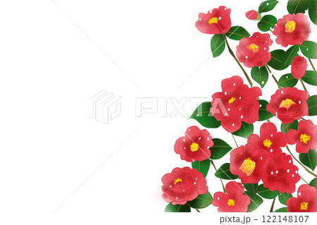 寒椿の花のカード1 122148107