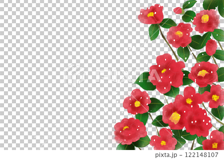 寒椿の花のカード1 122148107