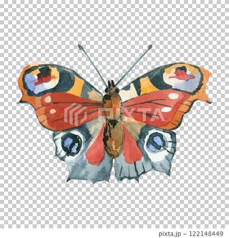 Peacock butterfly hand painted in watercolor and isolated on white background. Watercolor illustration. Suitable for printing on fabric, paper, for invitations and cards. 122148449