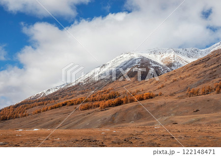 autumn landscape with yellow trees on sunlit snow hill 122148471