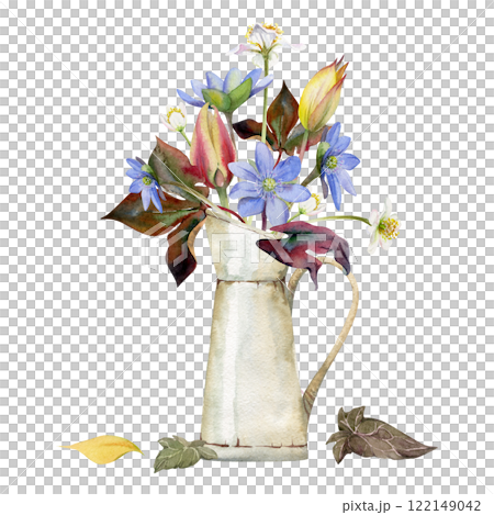 Spring flowers, yellow and red tulip, blue hepatica forget-me-not, white forest anemone primrose, ivy in jug vase hand drawn in watercolor. Bouquet illustration for wedding, florist shop, stationery. Spring flowers, yellow and red tulip, blue hepatica forget-me-not, white forest anemone primrose, ivy in jug vase hand drawn in watercolor. Bouquet illustration for wedding, florist shop, stationery. 122149042
