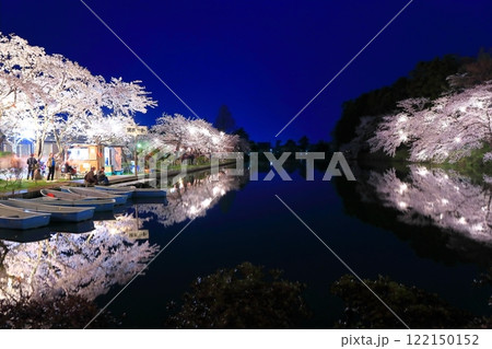 【新潟県】シンメトリーな高田城の満開の夜桜(高田城址公園観桜会) 【新潟県】シンメトリーな高田城の満開の夜桜(高田城址公園観桜会) 122150152
