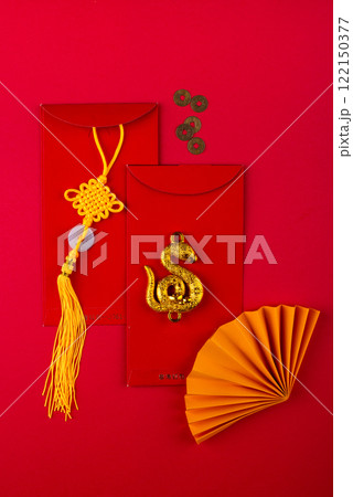 Chinese new year concept. Lunar year of snake Chinese new year concept. Lunar year of snake 122150377