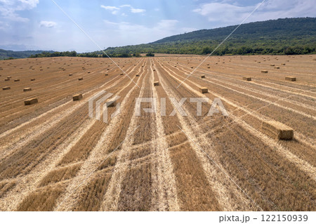 hay bales on the field after harvest. 122150939
