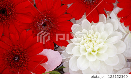 水に浮くカラフルな花を真俯瞰で撮影した背景素材用写真 水に浮くカラフルな花を真俯瞰で撮影した背景素材用写真 122152569