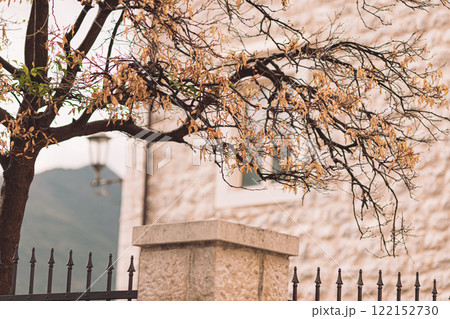 Late autumn tree branches with dried leaves near a stone wall in a picturesque village setting 122152730