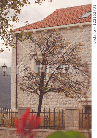 Silhouette of a bare tree beside a rustic stone house under a cloudy sky in a serene landscape 122152731