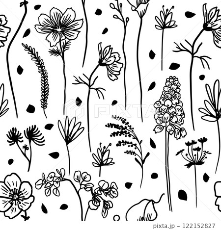 Vector spring flowers and leaves on long stems. Branches with large and small flowers. hand drawing. Not AI, Vector illustration 122152827
