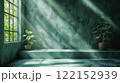 Room with concrete green walls and floor, potted plants and sun rays from a window 122152939