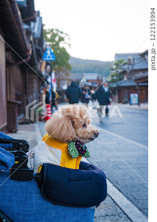 おかげ横丁で散歩 122153994