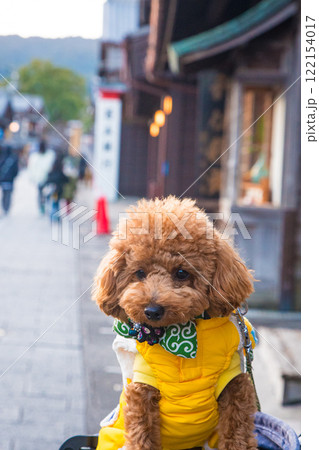 おかげ横丁で散歩 122154017