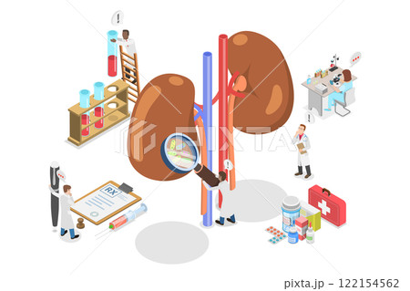 3D Isometric Flat  Illustration of Treatment of Kidneys, Nephrology and Urology 122154562