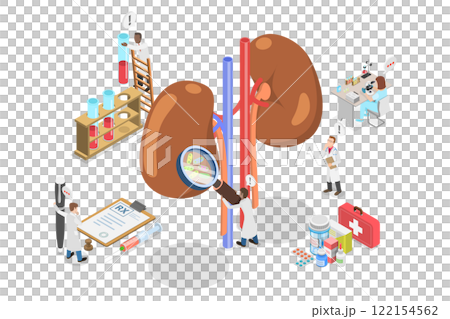 3D Isometric Flat  Illustration of Treatment of Kidneys, Nephrology and Urology 122154562