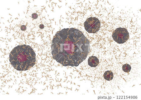 抗体を産生する形質細胞のイメージ 122154986