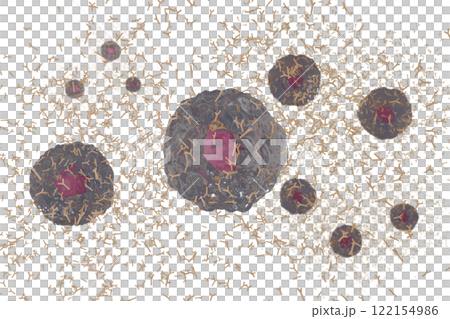 抗体を産生する形質細胞のイメージ 122154986