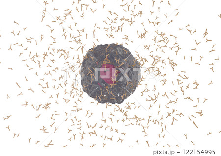 抗体を産生する形質細胞のイメージ 122154995