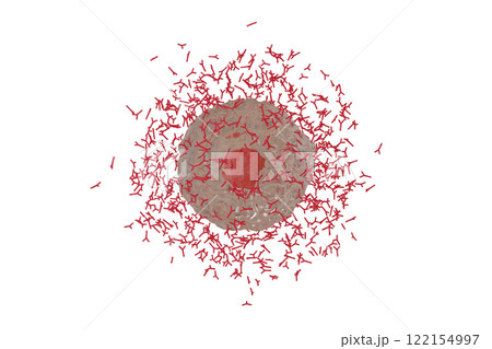 抗体を産生する形質細胞のイメージ 122154997