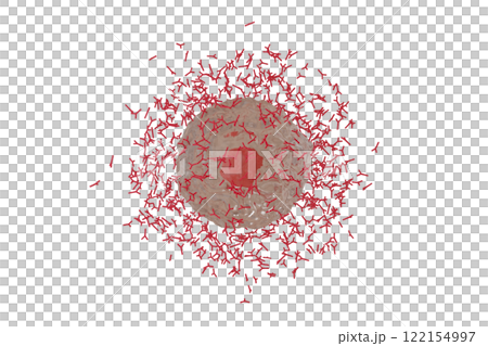 抗体を産生する形質細胞のイメージ 122154997