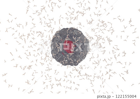 抗体を産生する形質細胞のイメージ 122155004