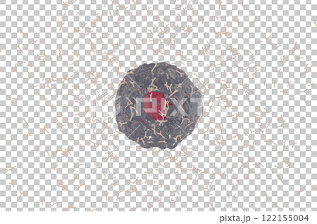 抗体を産生する形質細胞のイメージ 122155004