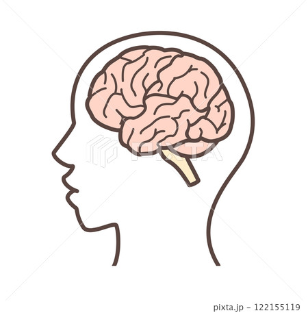 脳のイラスト 122155119