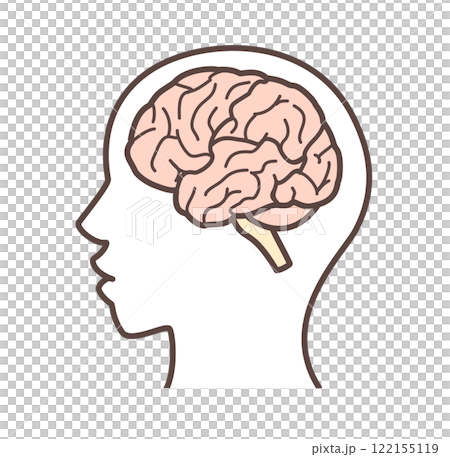 脳のイラスト 122155119