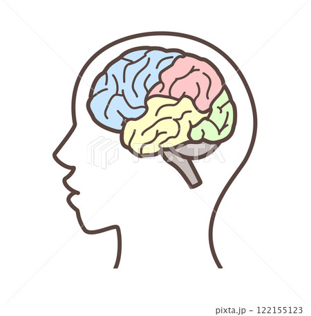 色分けされた脳のイラスト 122155123