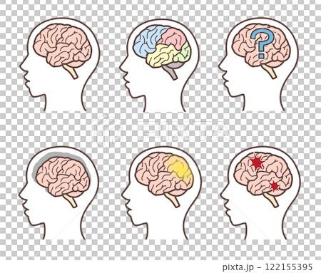 脳イラストセット 122155395