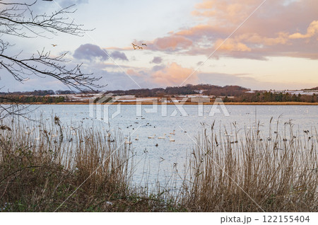 新潟　早朝の佐潟 122155404