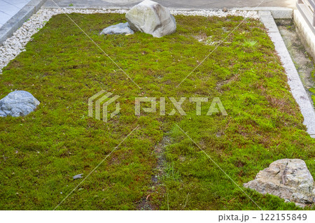 仁和寺御所庭園　宸殿と黒書院の間にある中庭 122155849