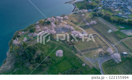 『桜』原城跡 『桜』原城跡 122155994