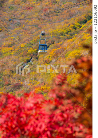 秋の立山黒部アルペンルート　紅葉の黒部平 122156092