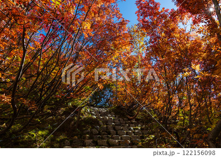 秋の立山黒部アルペンルート 紅葉の黒部平 秋の立山黒部アルペンルート 紅葉の黒部平 122156098