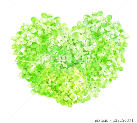 水彩で描いた緑色の紫陽花のハート 水彩で描いた緑色の紫陽花のハート 122156371