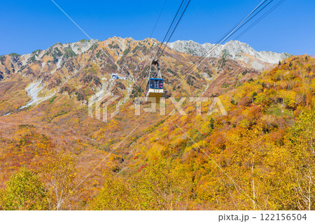 秋の立山黒部アルペンルート　紅葉の黒部平 122156504