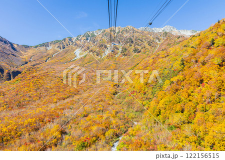 秋の立山黒部アルペンルート　紅葉の立山ロープウェイ 122156515