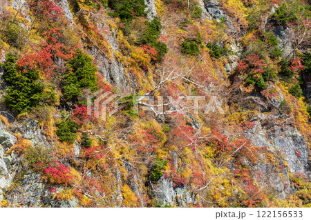 秋の立山黒部アルペンルート 紅葉の大観峰 秋の立山黒部アルペンルート 紅葉の大観峰 122156533