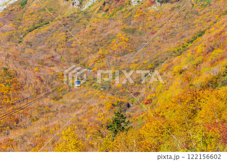 秋の立山黒部アルペンルート　紅葉の黒部平 122156602