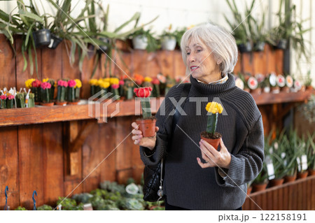 Mature woman choosing cacti 122158191